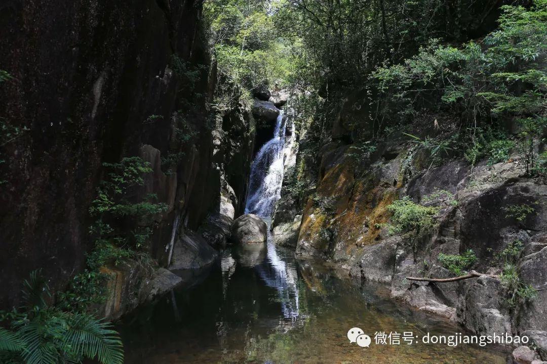 爱丽丝和闺蜜