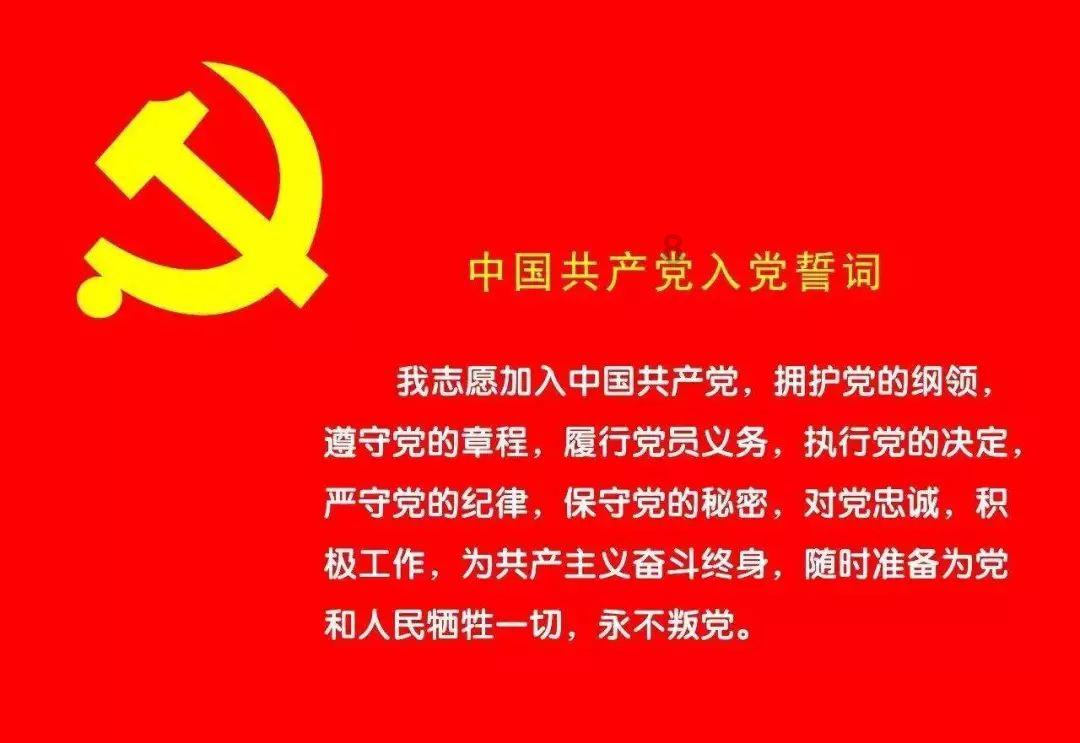 应采儿带俩娃游环球影城,俩儿子羽绒服裹严实