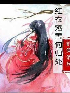数码宝贝8