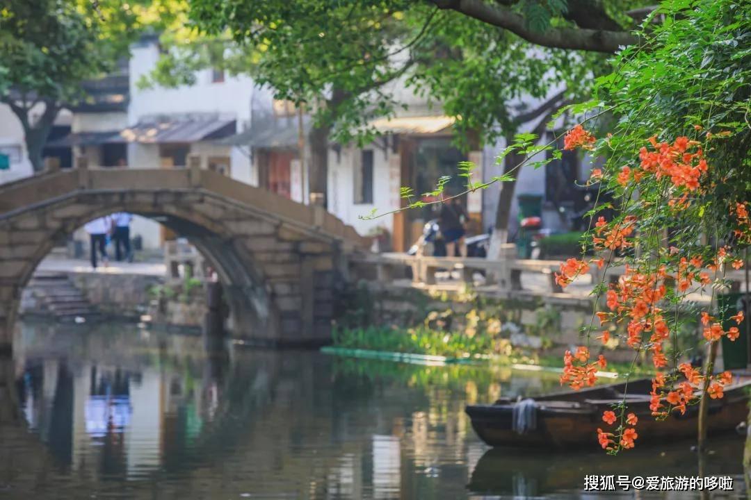 游龙映桃花